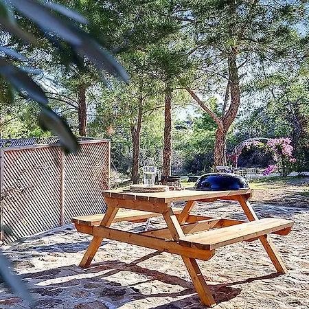 Luxury In Nature Villa Polis